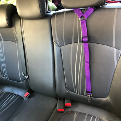 PawGuard™ 2-in-1 Pet Seat Belt & Leash