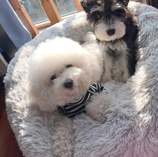CozyPaws™ Plush Cat & Dog Bed – Ultimate Comfort for Your Pet!