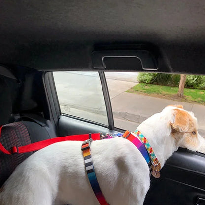 PawGuard™ 2-in-1 Pet Seat Belt & Leash