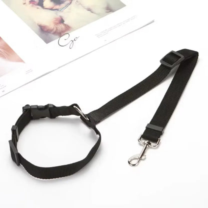 PawGuard™ 2-in-1 Pet Seat Belt & Leash
