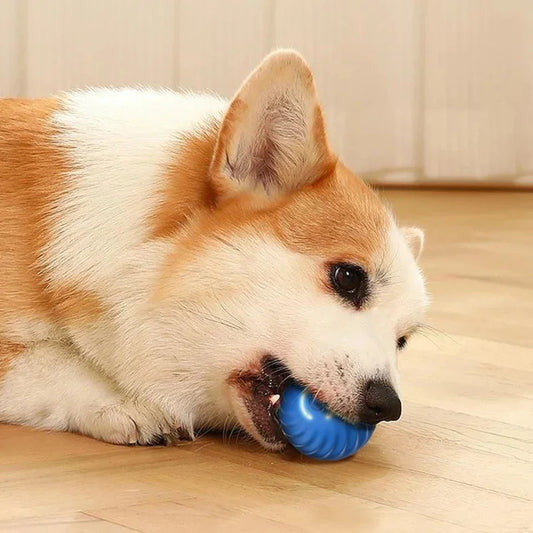 BounceBuddy™ Interactive Pet Toy Ball