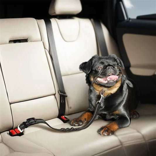 PawGuard™ Dog Car Seat Belt – Safety & Comfort for Every Ride!