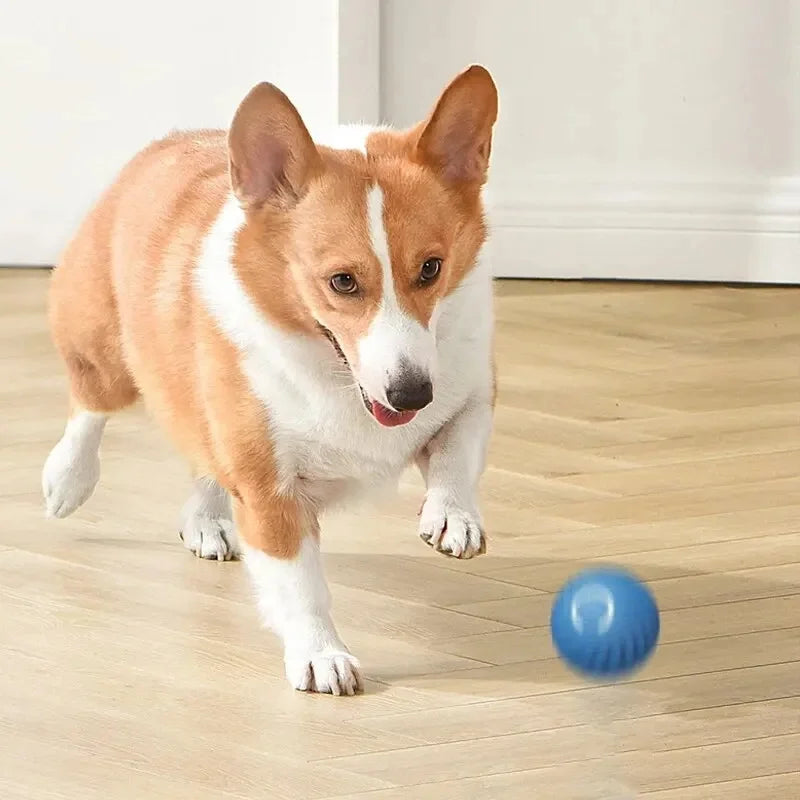 BounceBuddy™ Interactive Pet Toy Ball
