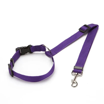 PawGuard™ 2-in-1 Pet Seat Belt & Leash