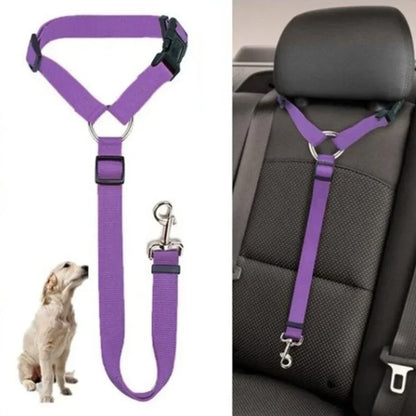 PawGuard™ 2-in-1 Pet Seat Belt & Leash