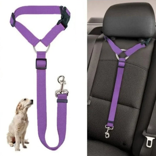 PawGuard™ 2-in-1 Pet Seat Belt & Leash