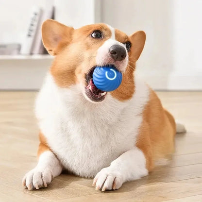 BounceBuddy™ Interactive Pet Toy Ball