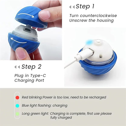 BounceBuddy™ Interactive Pet Toy Ball