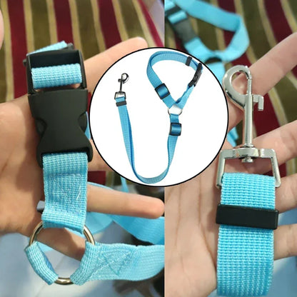 PawGuard™ 2-in-1 Pet Seat Belt & Leash