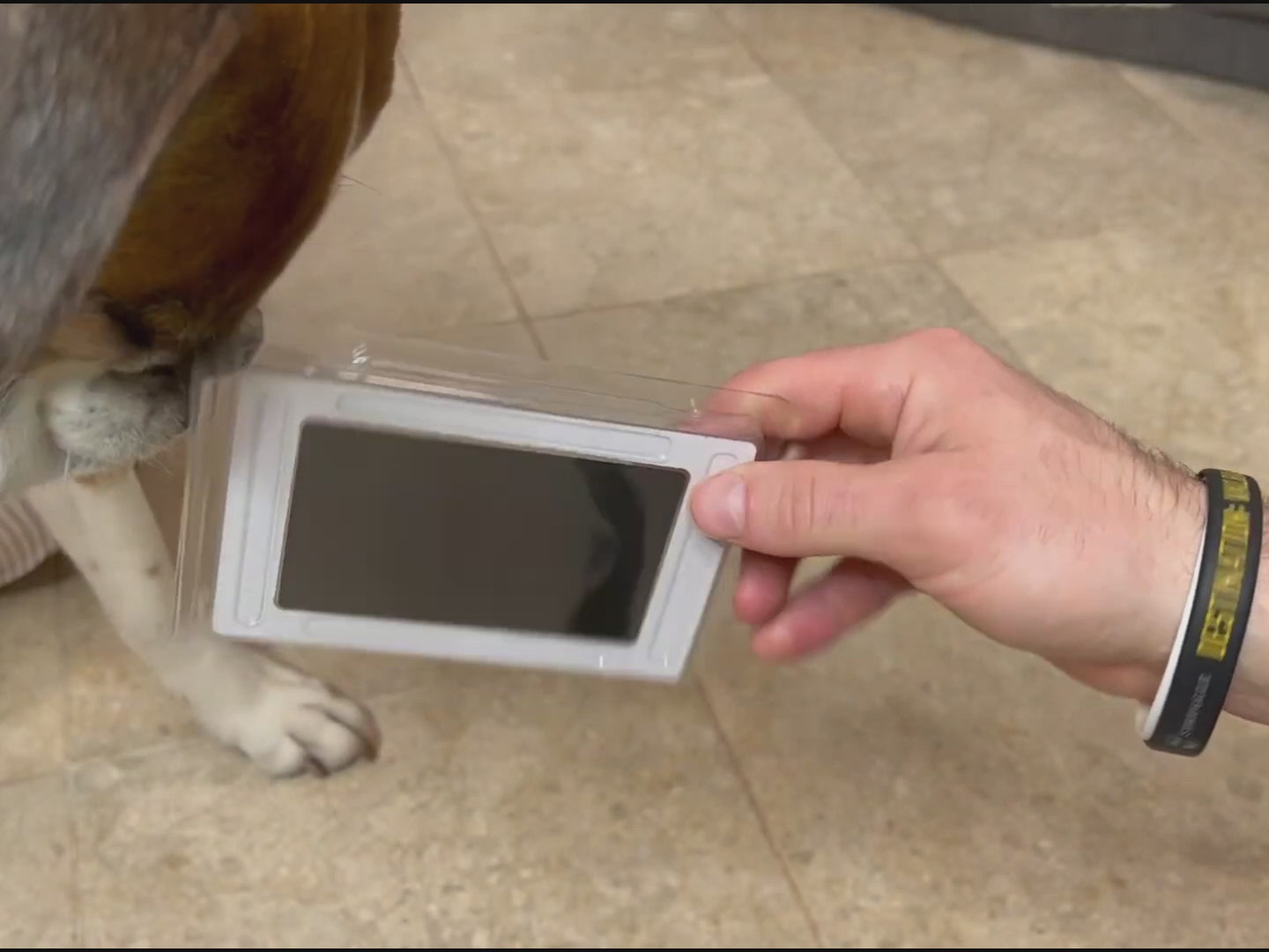 Video laden: 